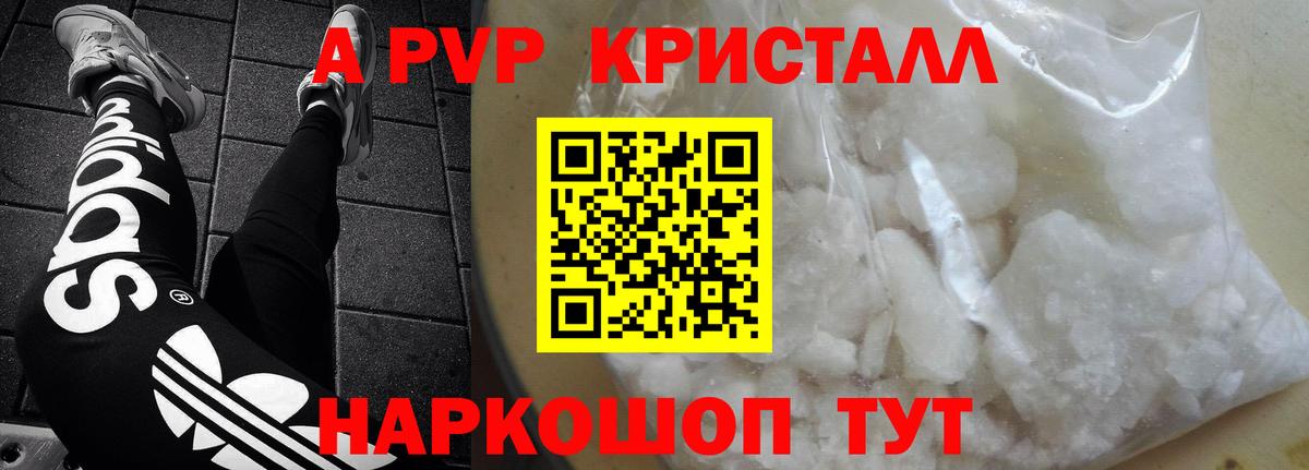 Альфа ПВП СК КРИС Ставрополь