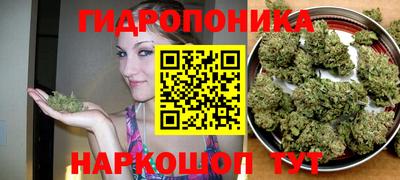 гидра Ликино-Дулёво