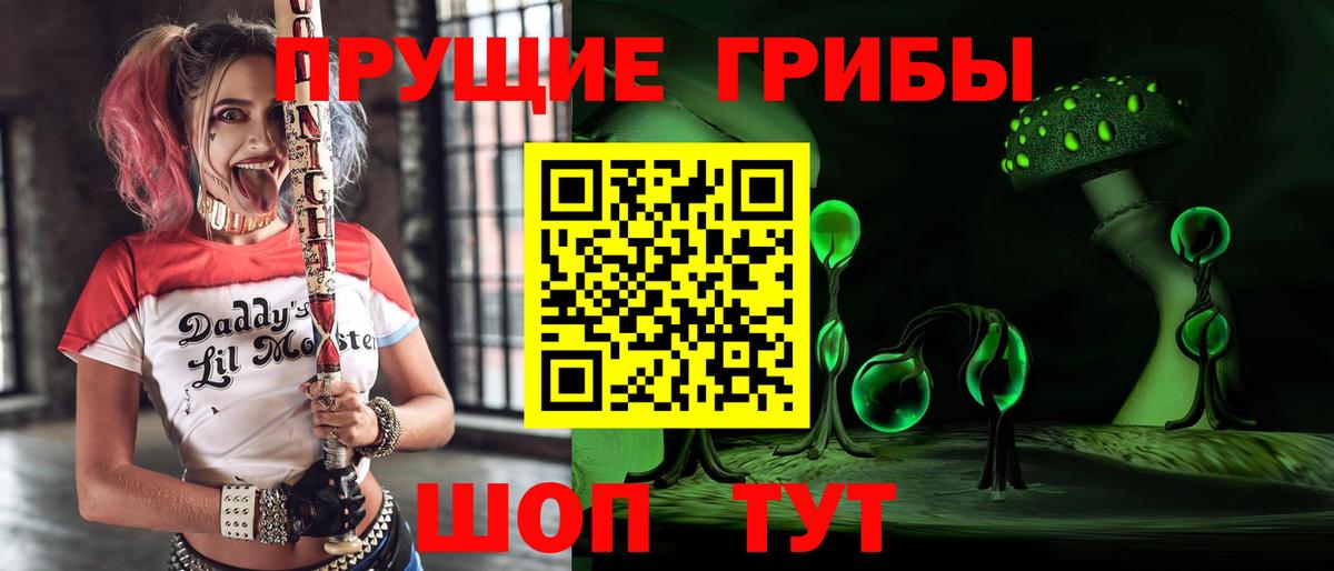 Псилоцибиновые грибы мухоморы Ставрополь