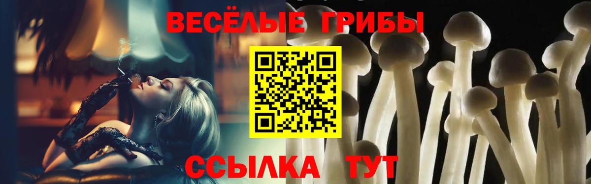 Псилоцибиновые грибы Cubensis  Вход с VPN  Галлюциногенные грибы Cubensis  где купить наркотик  Ставрополь 
